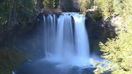 Koosah Falls on the McKenzie River