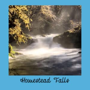 Homestead Falls