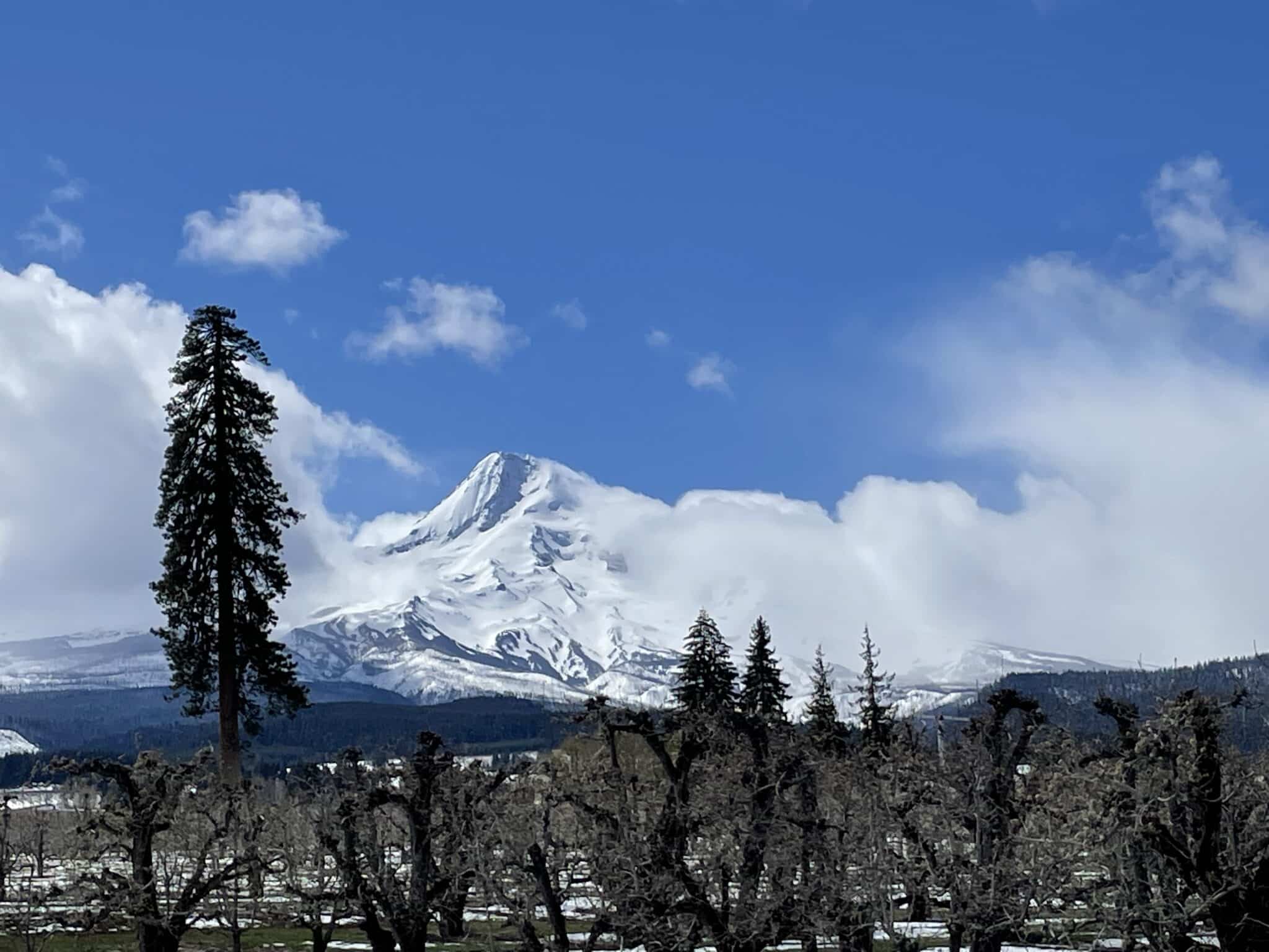 Mt Hood Parkdale, Oregon