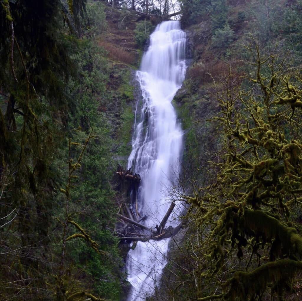 Image of Munson Creek Falls in the lush Oregon Coast Range