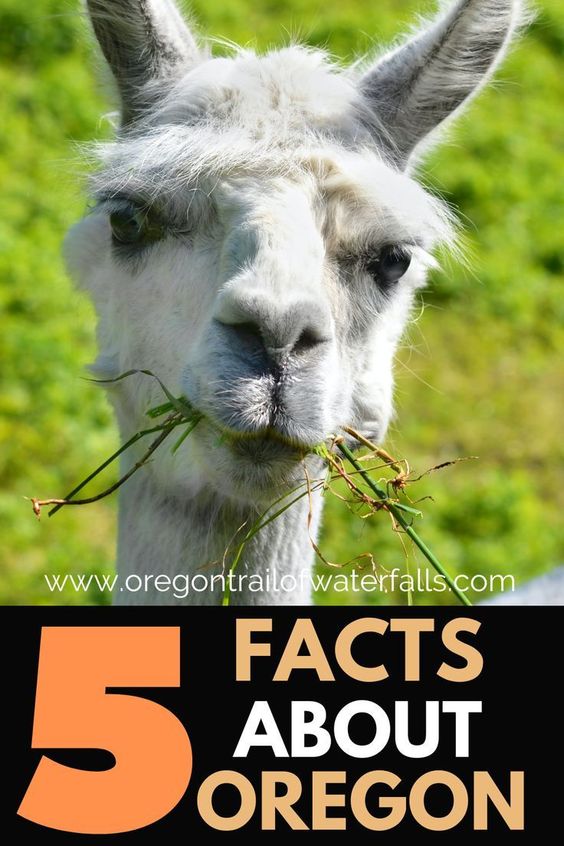 Oregon Pictures and Facts