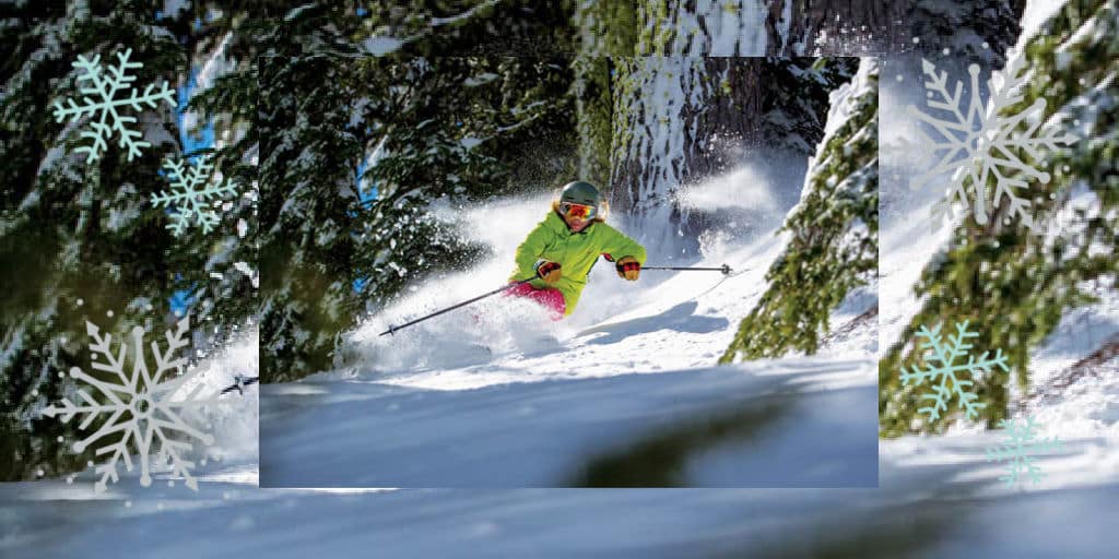 a human skiing through the trees on fresh snow