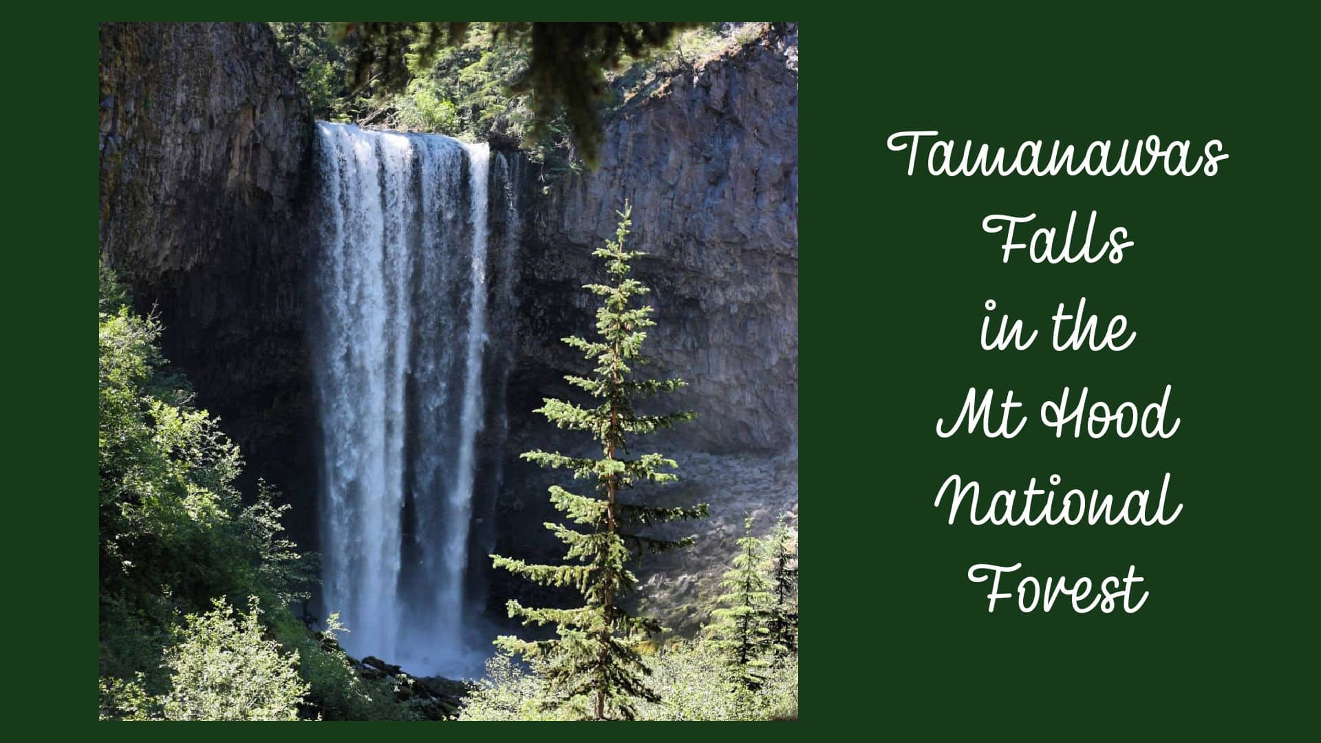 image of Tamanawas Falls and the words in the Mount Hood National Forest