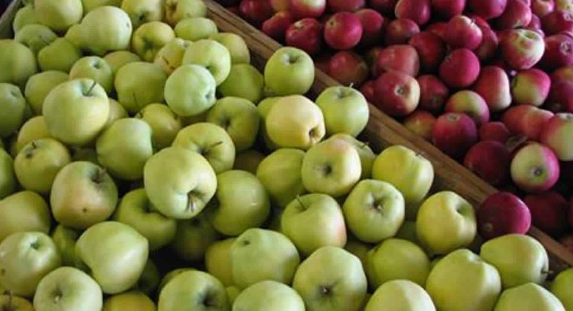 Green and Red Apples at Kiyokawa Family Orchards